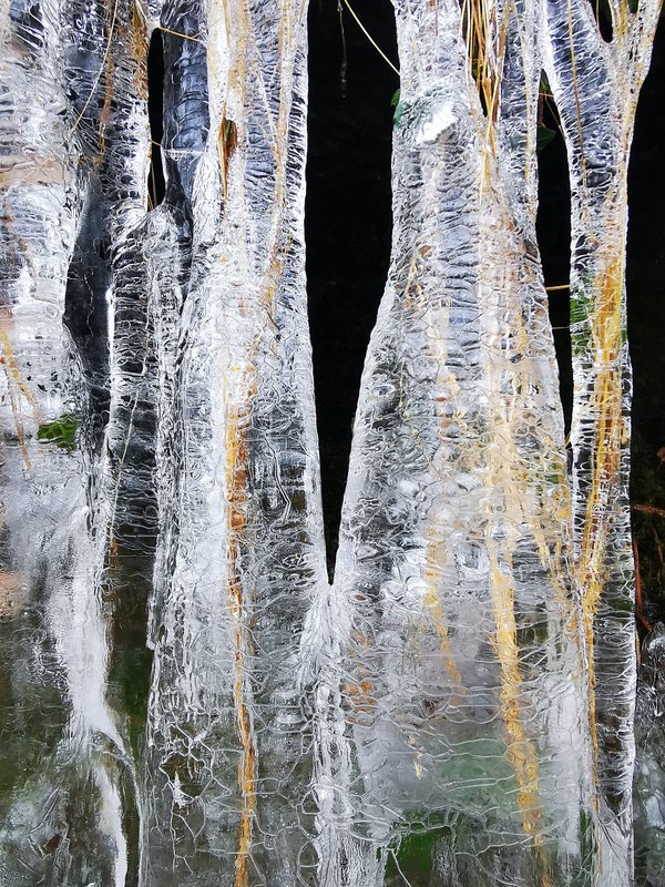 Quels sont les avantages du camping en hiver par rapport à l'été pour les novices ?