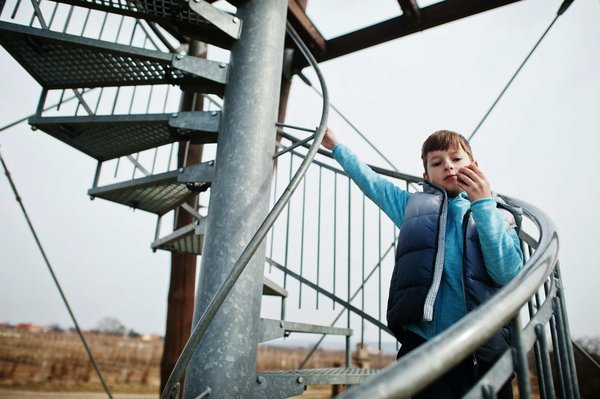 Quels sont les meilleurs lieux pour l'observation des dauphins sauvages ?