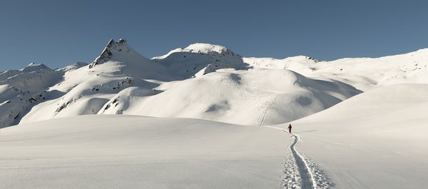 Est-il possible de réserver une cabane dans les arbres pour une expérience en pleine nature en Suède ?